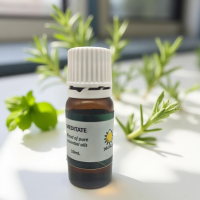 Meditate - 10ML