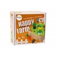 Memory Game Fruits And Vegetables Wooden