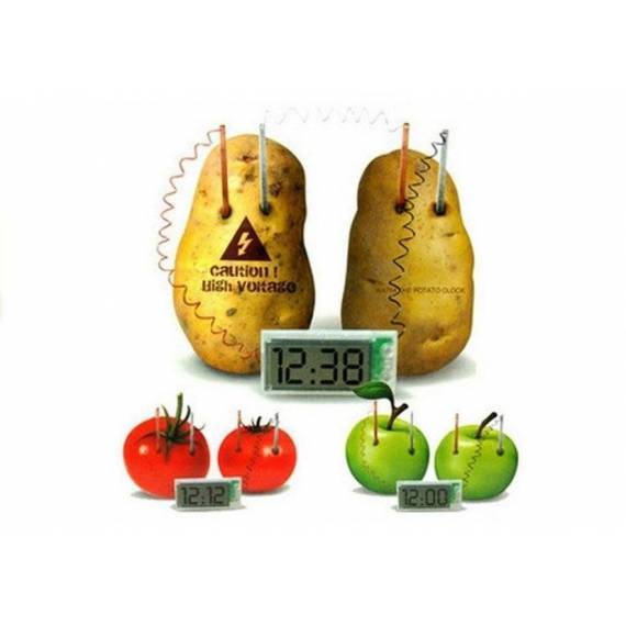 Potato Eco Clock Creative Science Experiment Set