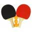Wooden Ping Pong Sticks 3 Balls Cover