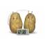 Potato Eco Clock Creative Science Experiment Set